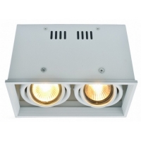 Потолочный светильник Arte Lamp Cardani A5942PL-2WH
